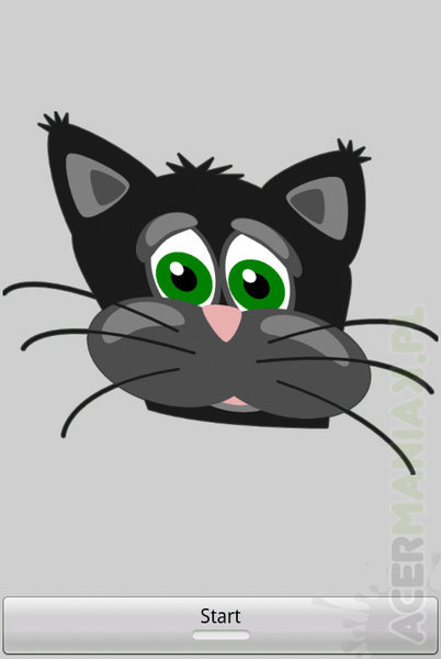 cat-simulator